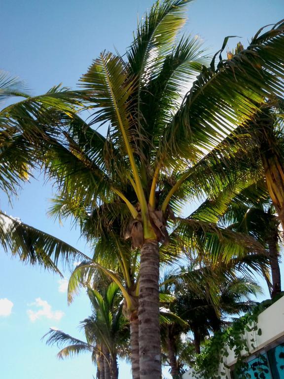 Appartamenti Melissa 2 Playa del Carmen Rum bild